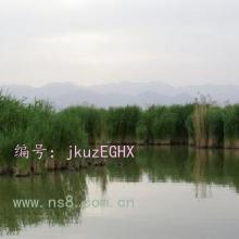 ǰ
