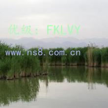ȫ