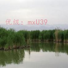 ò