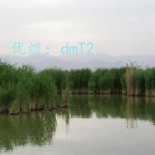ǰ