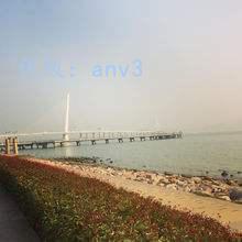 ̬