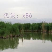 ǱĬ