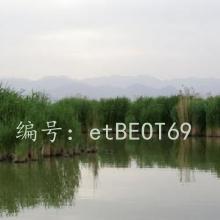 Ͻ