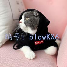 벻
