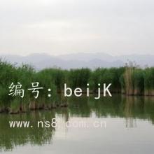 ȫ