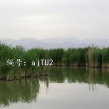 ǰ