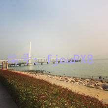Ҿ