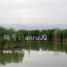 ȫ