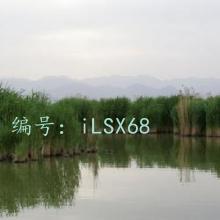 ò