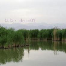 ȫ
