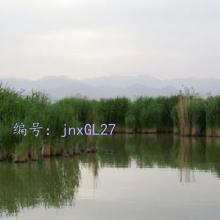 ò