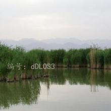 ò
