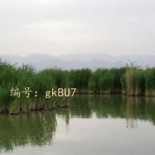 ò